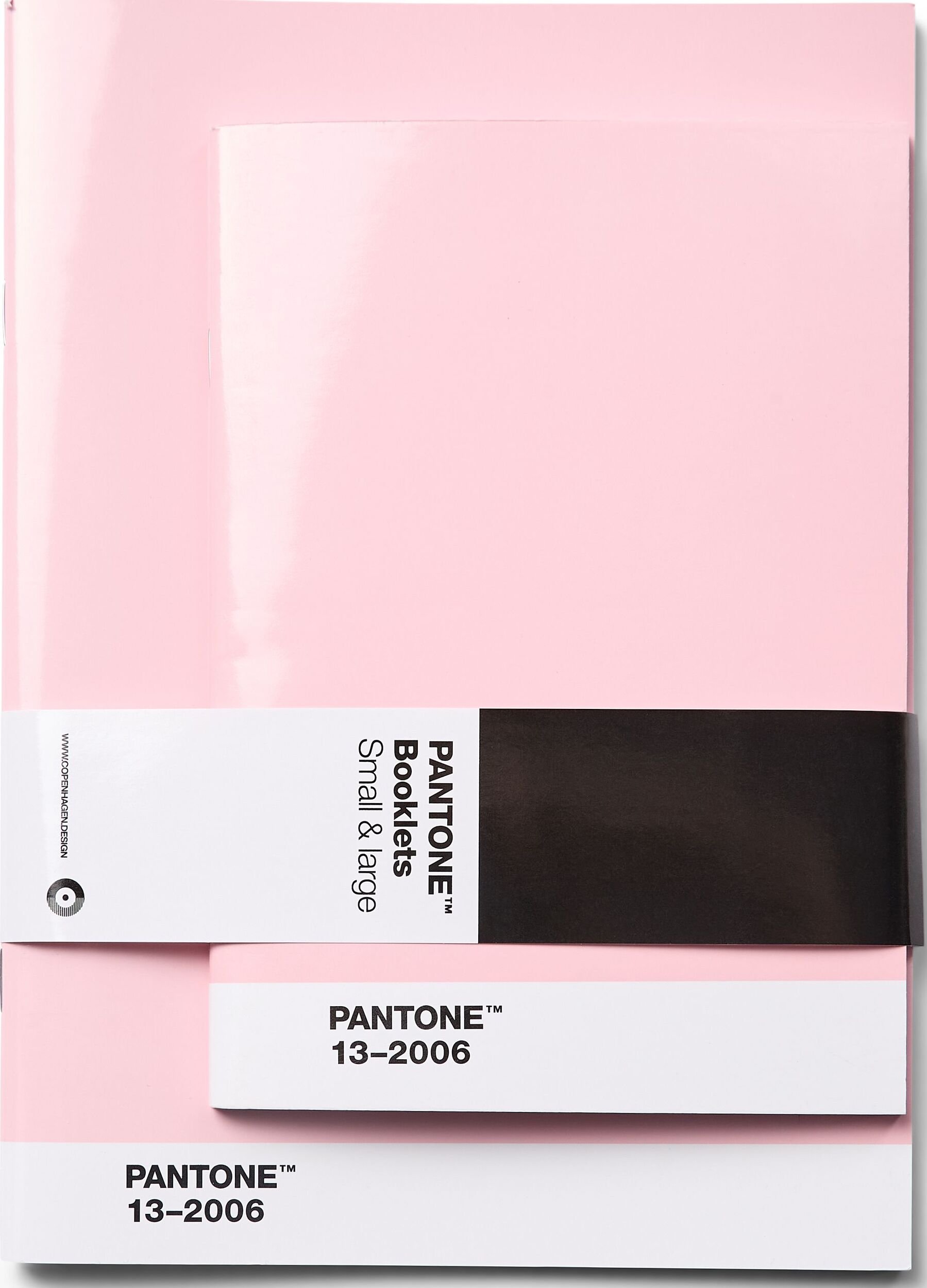 Pantone Gepunktete Notizbücher Hellrosa 2 St.