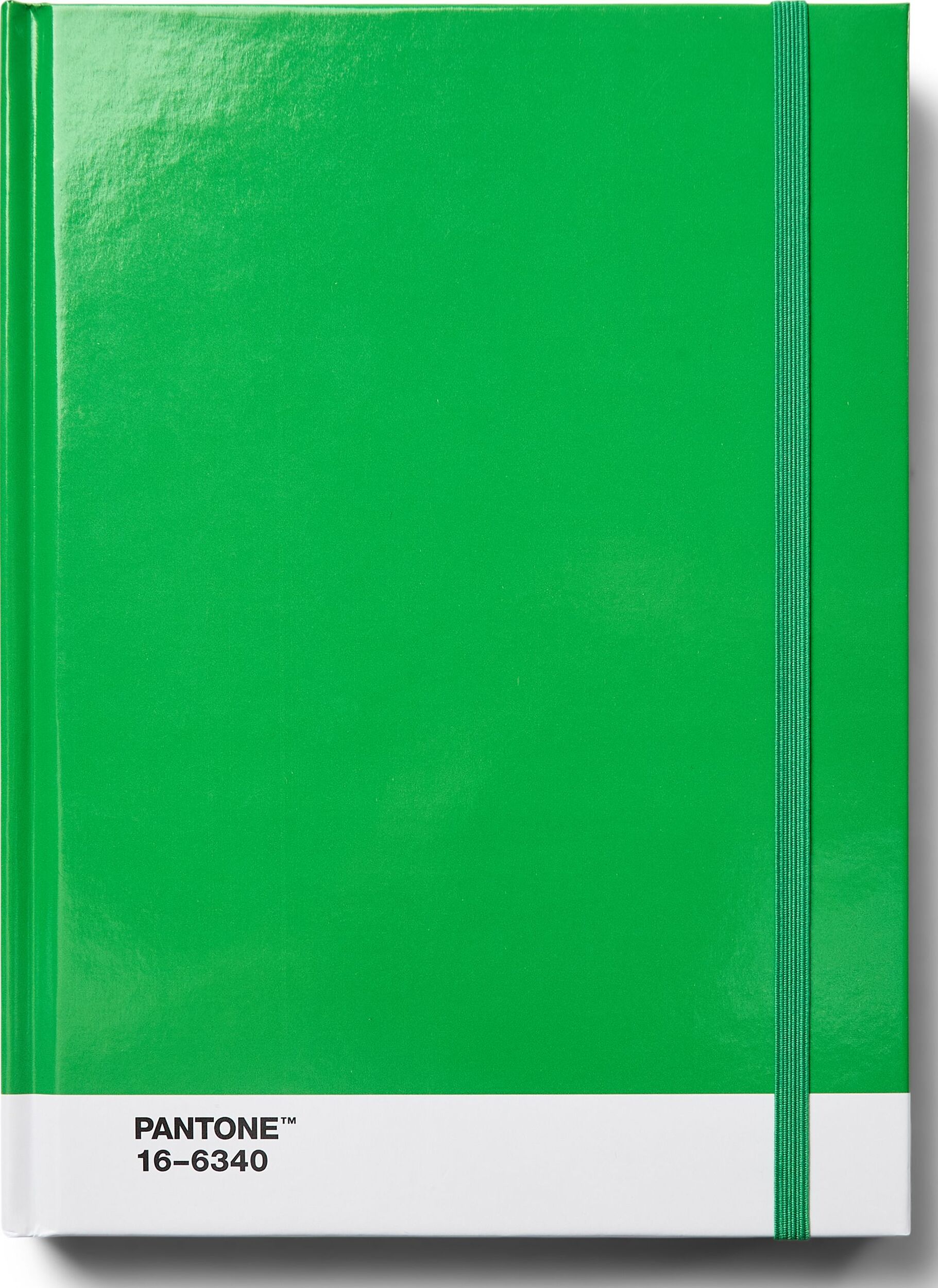 Pantone Gepunktetes Notizbuch L grün