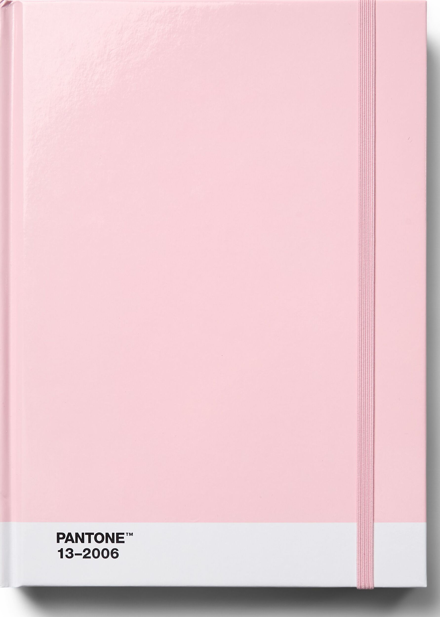 Pantone Gepunktetes Notizbuch L hellrosa