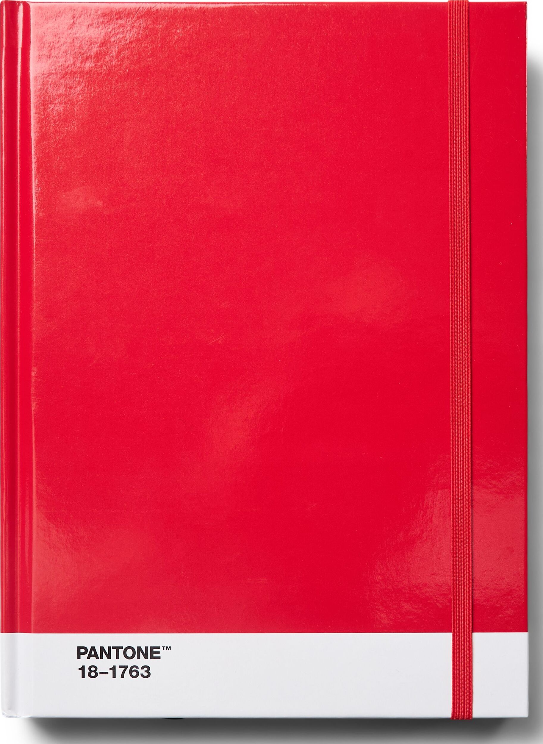Pantone Gepunktetes Notizbuch L rot