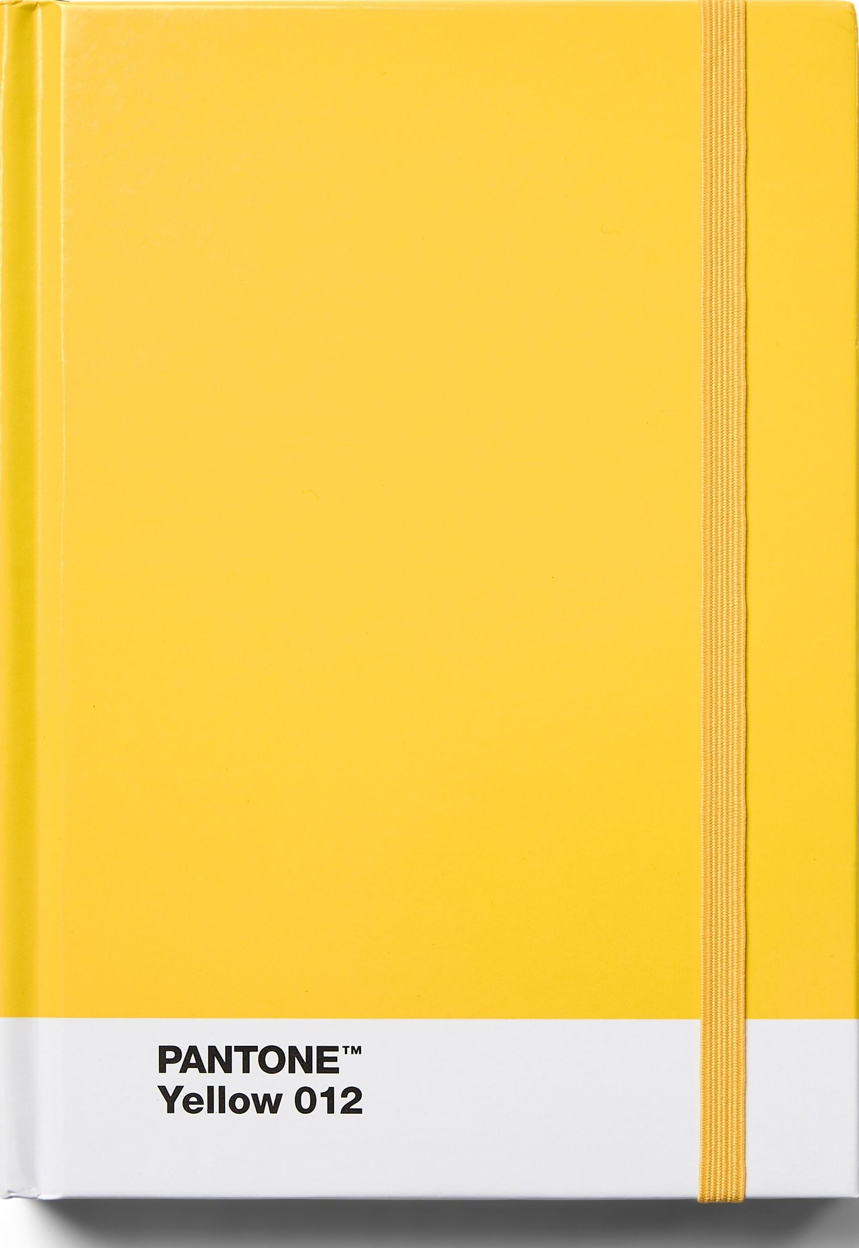 Pantone Gepunktetes Notizbuch S gelb