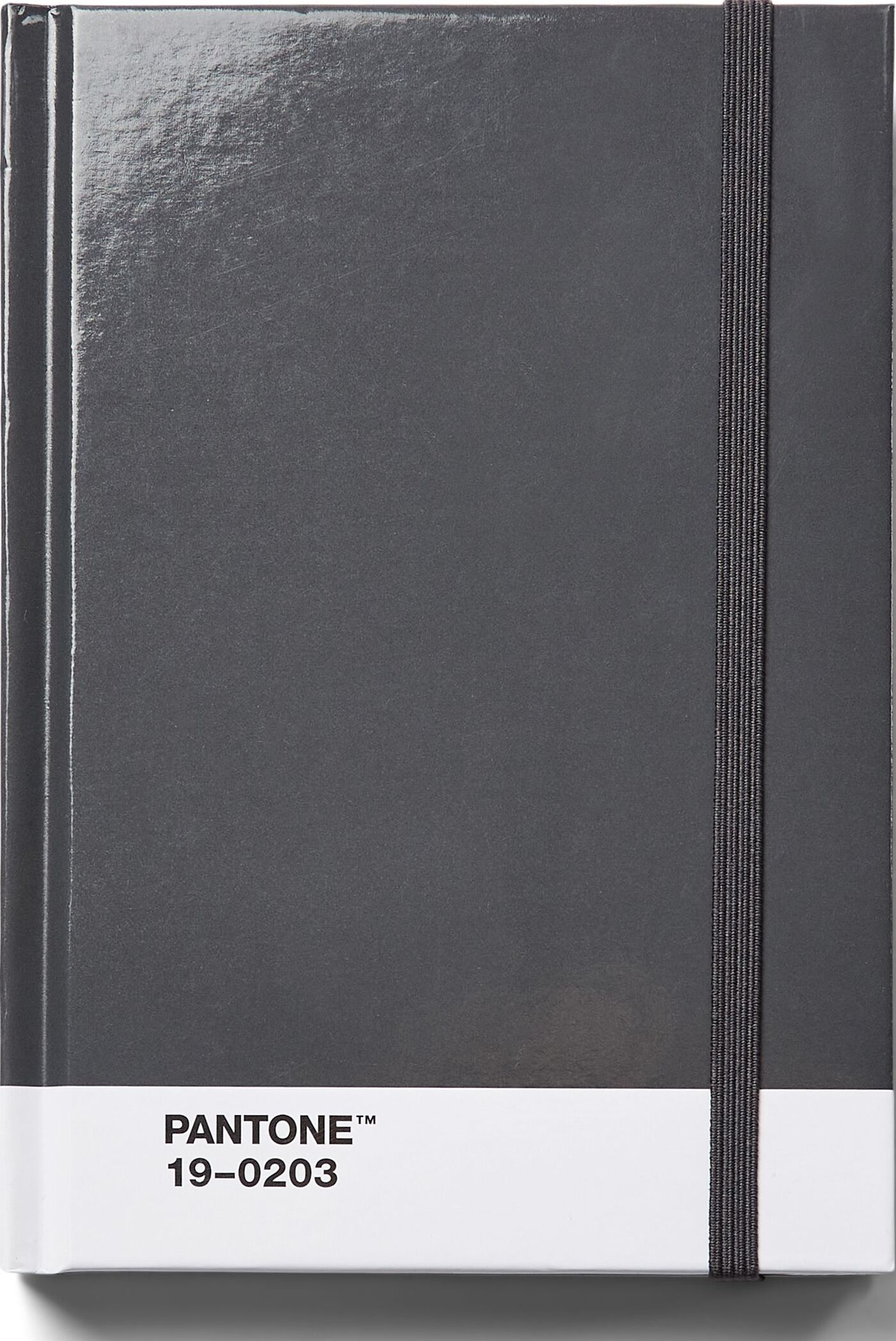 Pantone Gepunktetes Notizbuch S grau