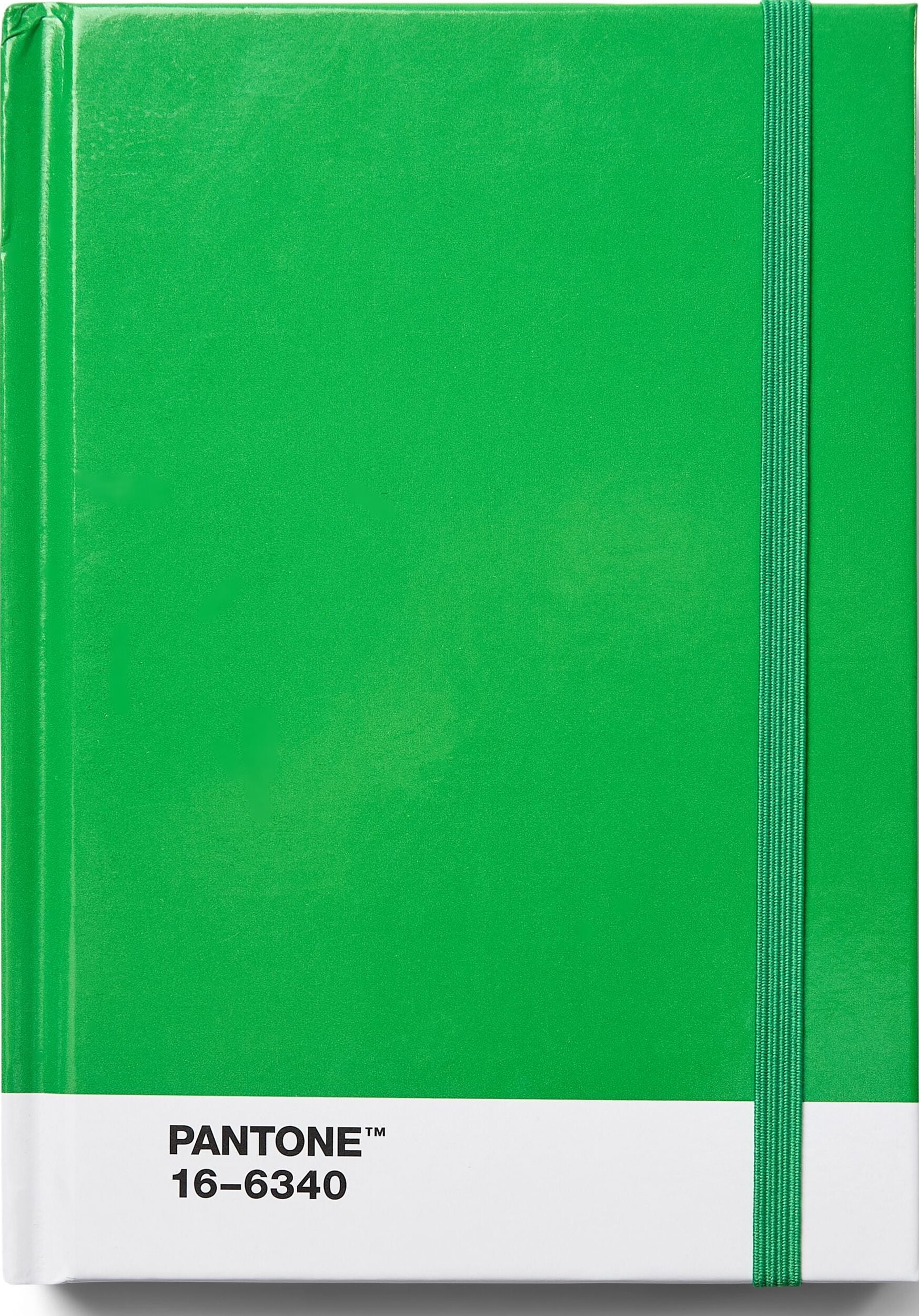Pantone Gepunktetes Notizbuch S grün