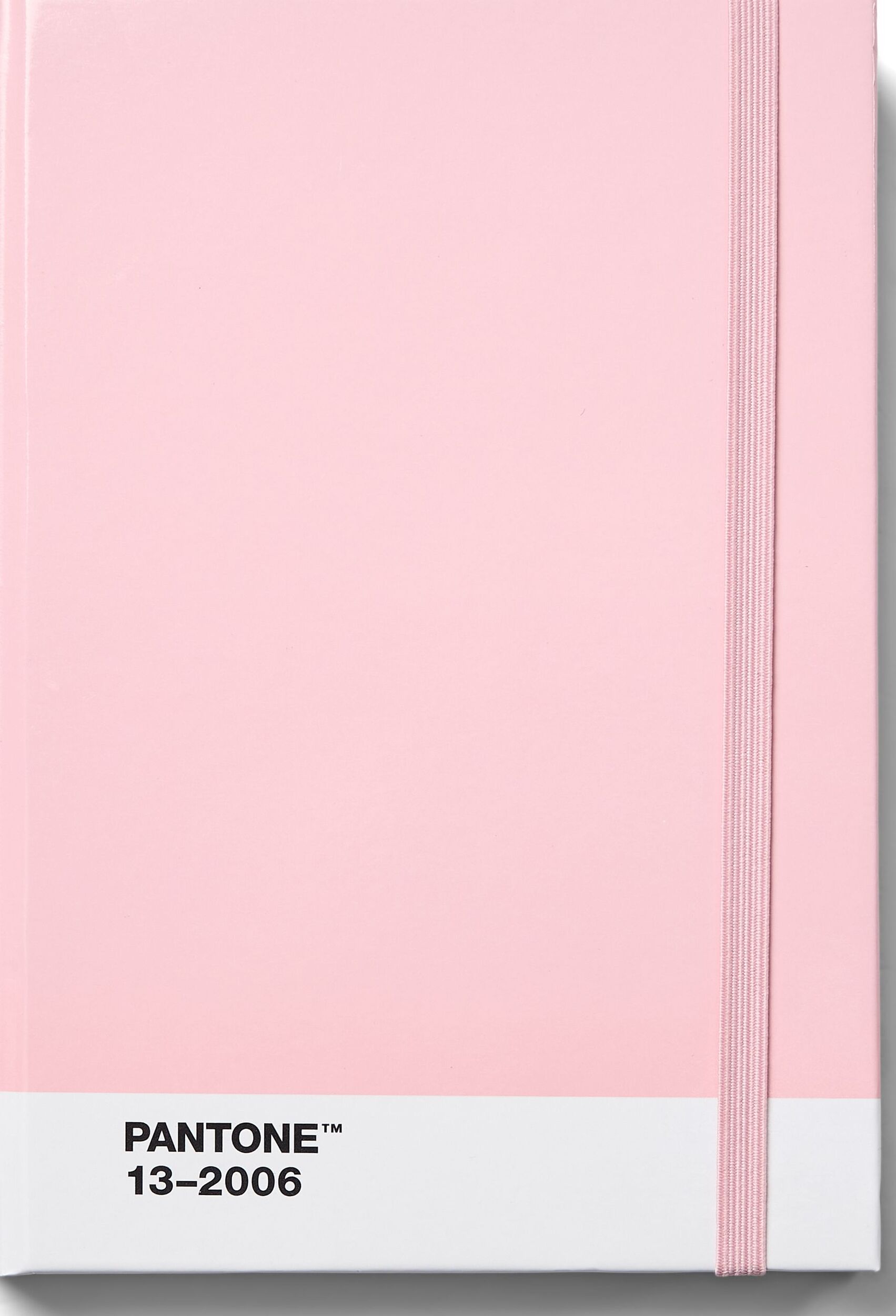 Pantone Gepunktetes Notizbuch S hellrosa