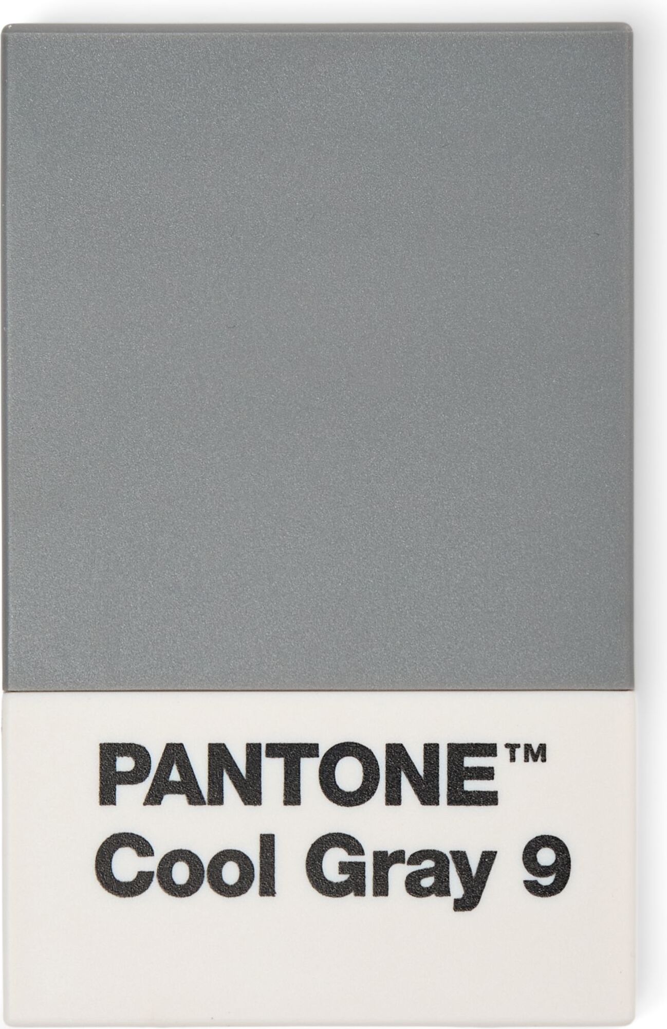 Persönliche Accessoires Pantone Kartenetui Grau