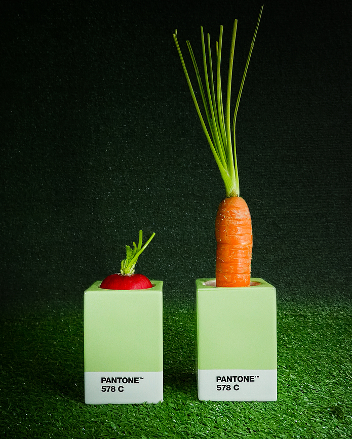 Pantone Κηροπήγια για κλασικά κεριά ή ρεσό, κίτρινα, 2 τμχ