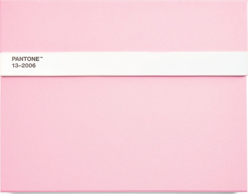 Pantone L Skicirka s svinčnikom, 160 strani, svetlo roza, črtasta, 100 g/m²