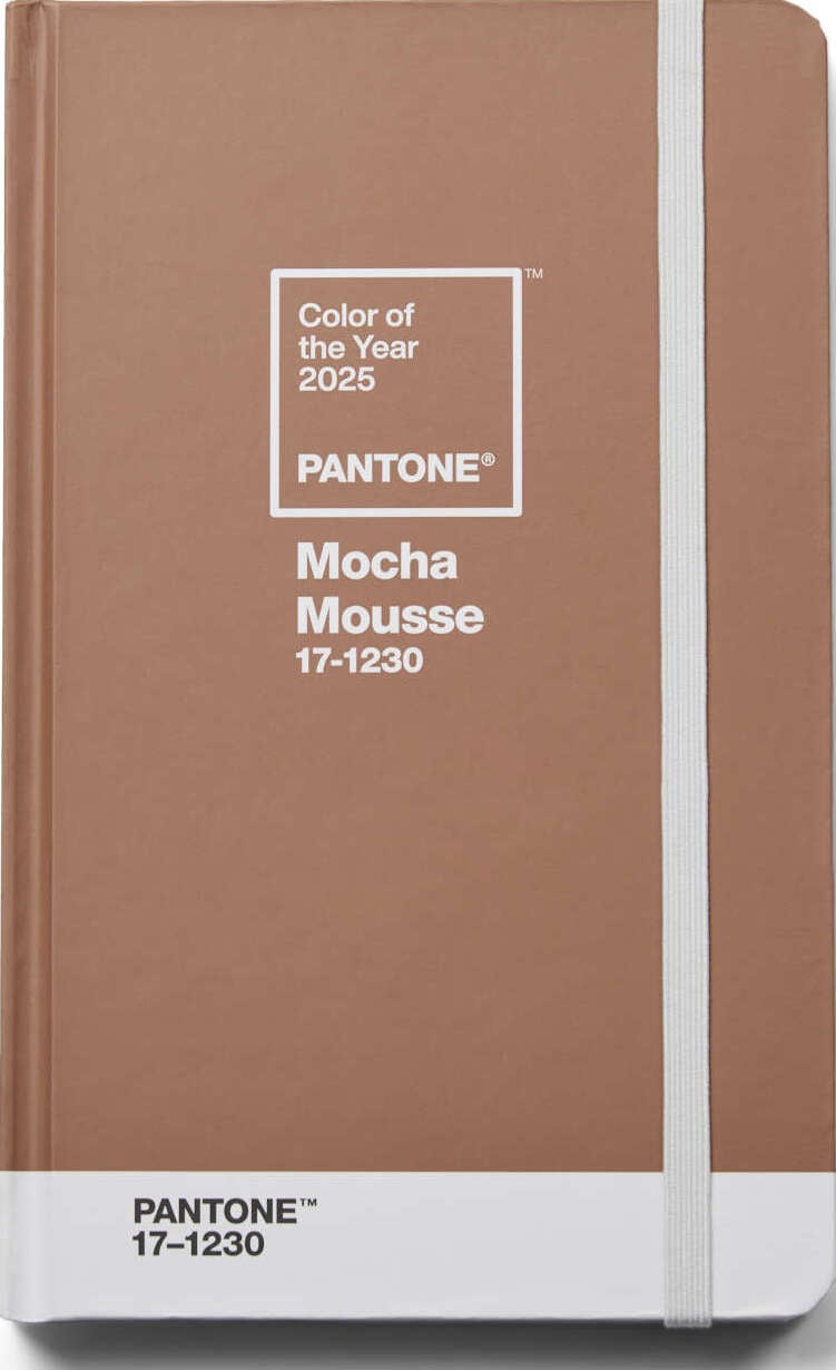 Pantone Liniertes Notizbuch Mokka