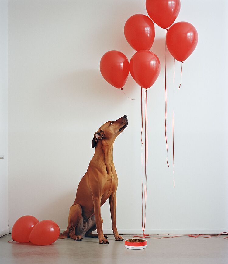 Pantone Skleda, 14,5 cm, rumena