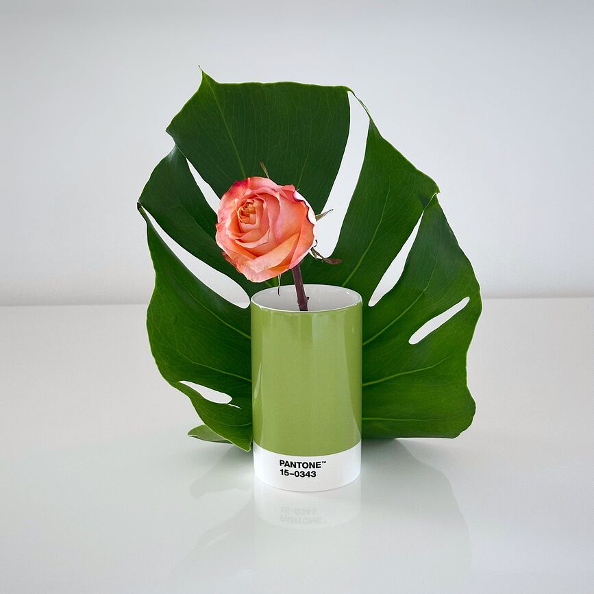 Pantone Οργανωτής Γραφείου, κίτρινος