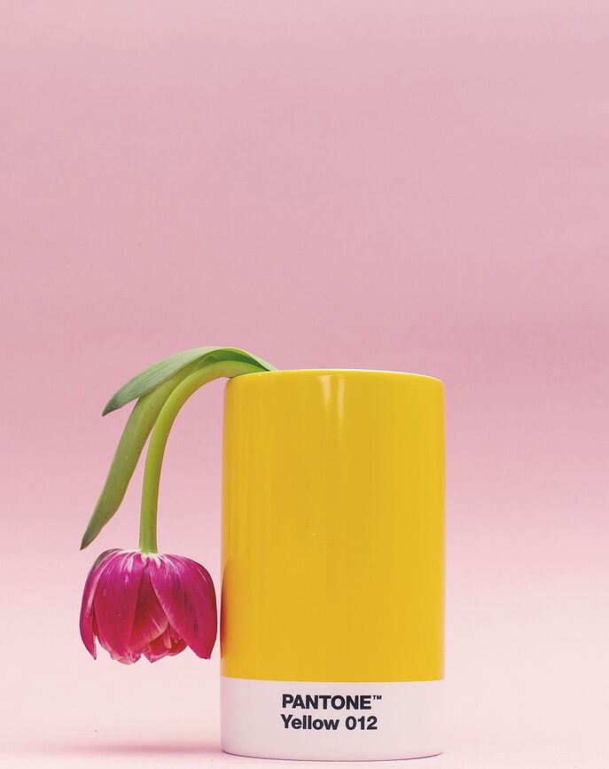 Pantone Οργανωτής Γραφείου, κίτρινος