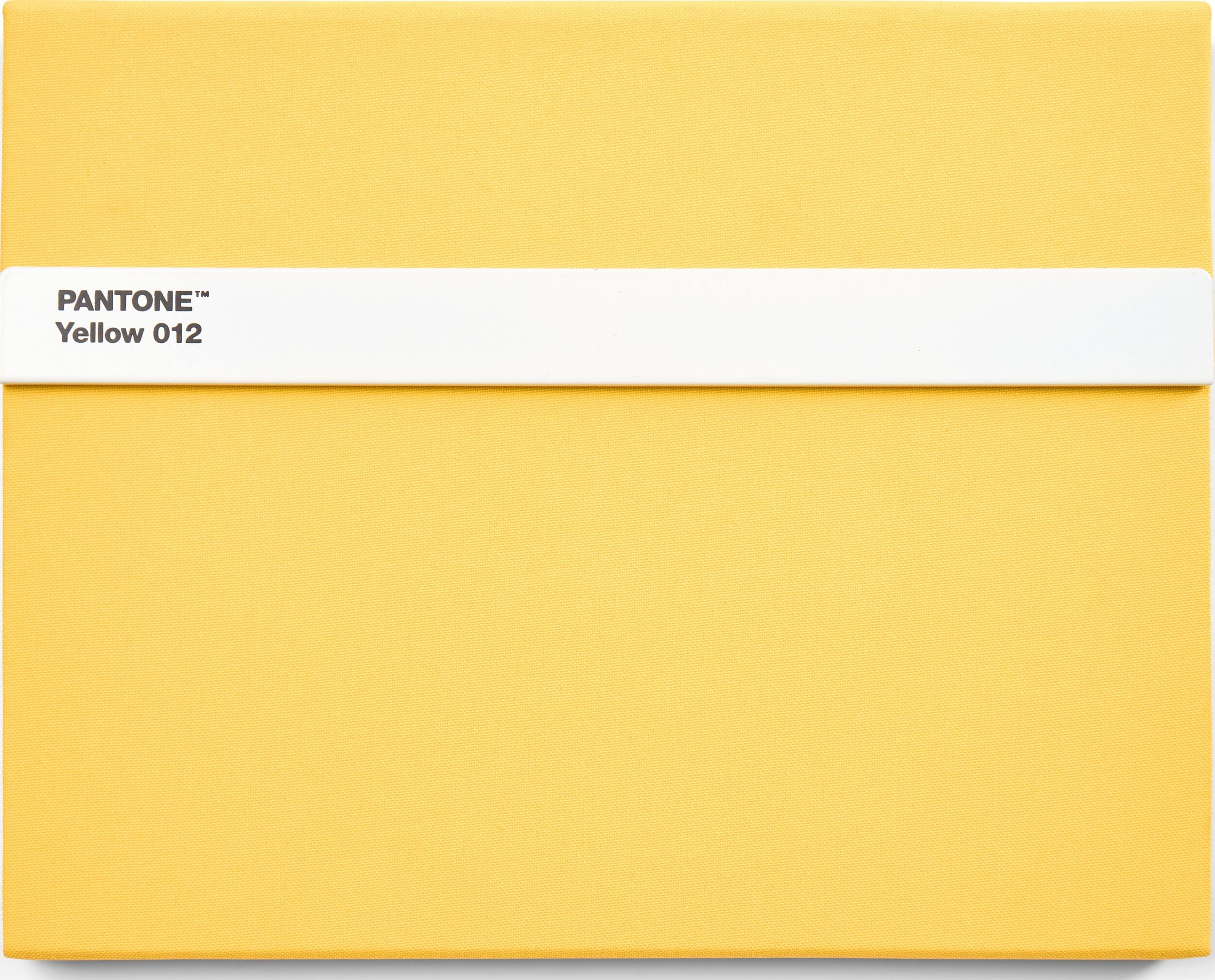 Pantone Skizzenbuch mit Bleistift L 160 Seiten gelb glatt 100 g/m²