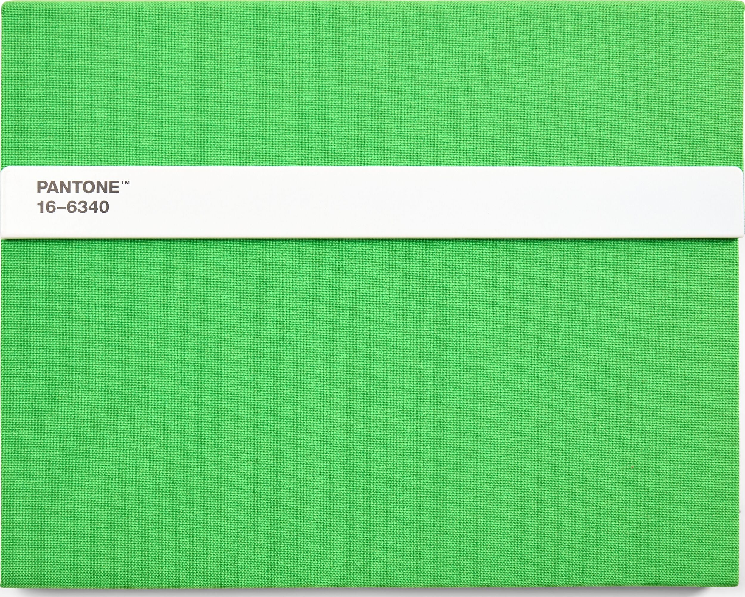 Pantone Skizzenbuch mit Bleistift L 160 Seiten grün liniert 100 g/m²