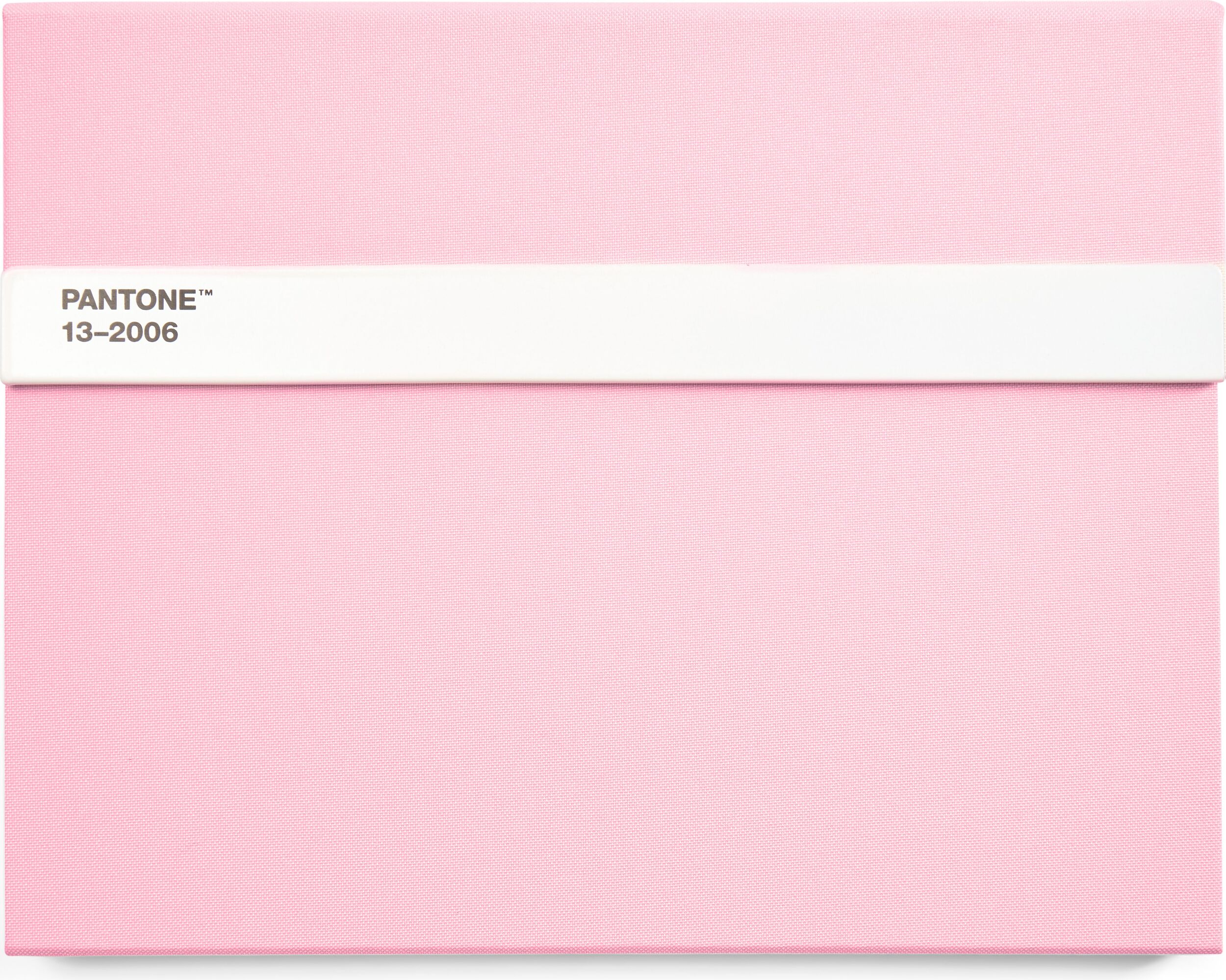 Pantone Skizzenbuch mit Bleistift L 160 Seiten hellrosa glatt 100 g/m²