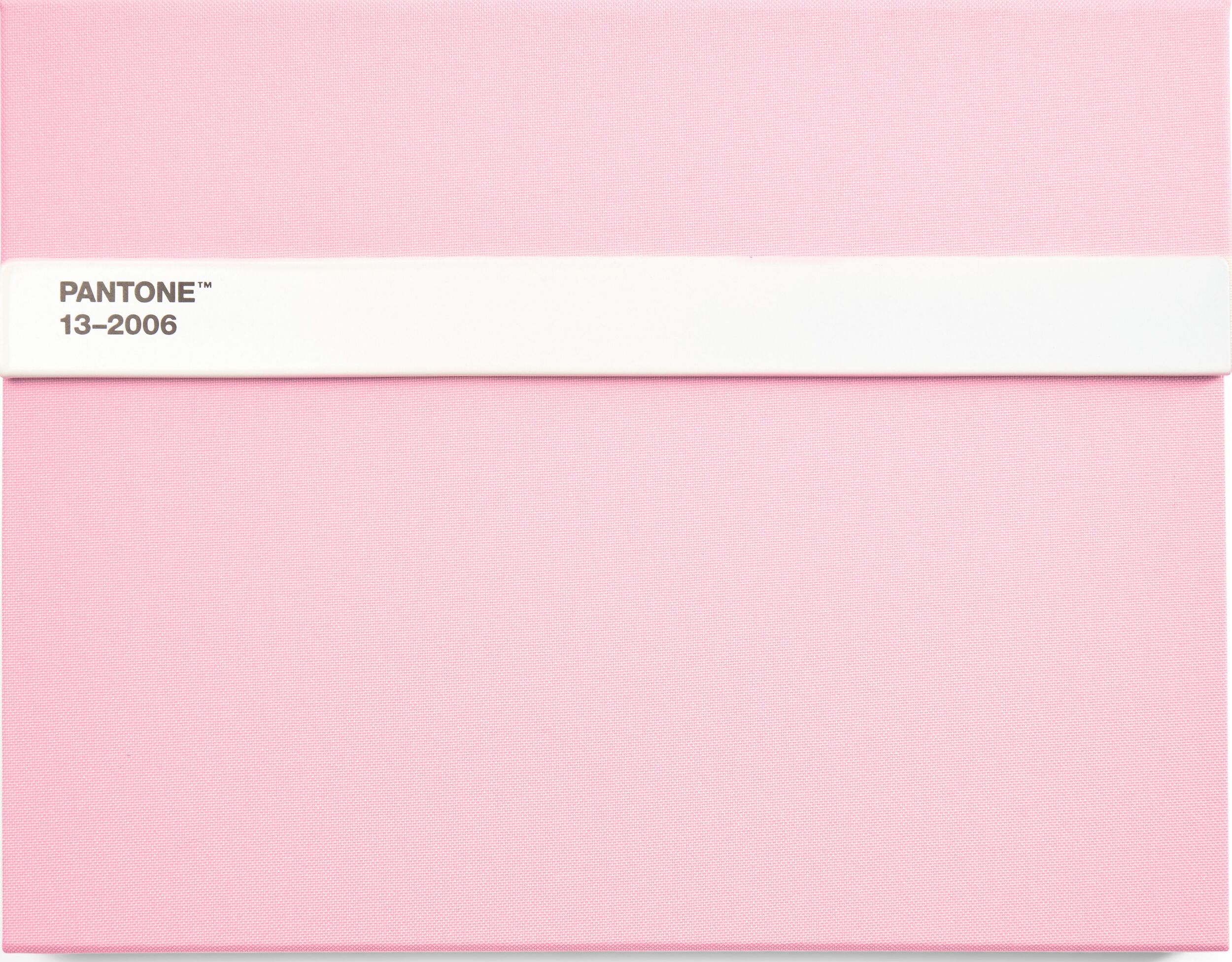 Pantone Skizzenbuch mit Bleistift L 160 Seiten hellrosa liniert 100 g/m²