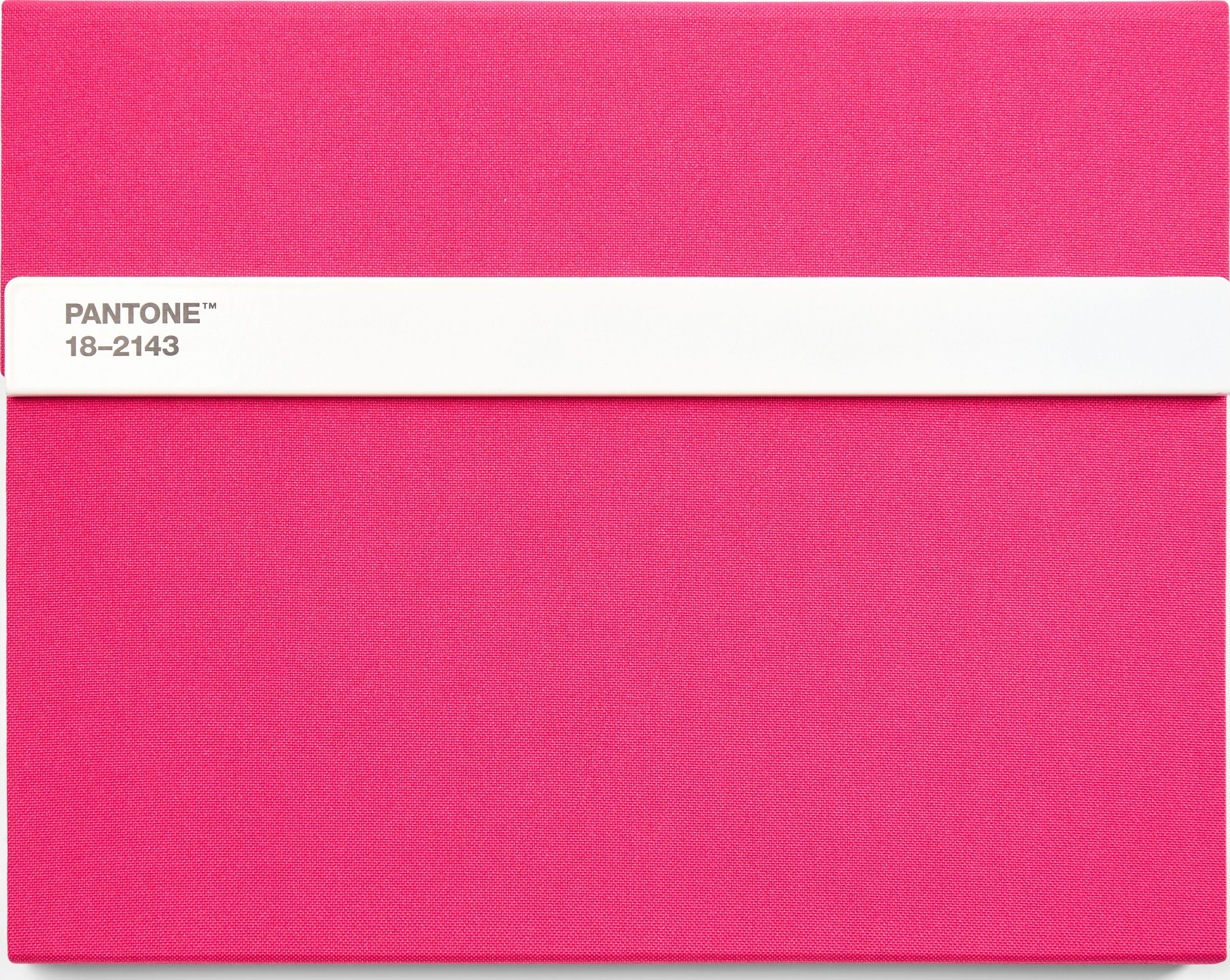Pantone Skizzenbuch mit Bleistift L 160 Seiten rosa glatt 100 g/m²