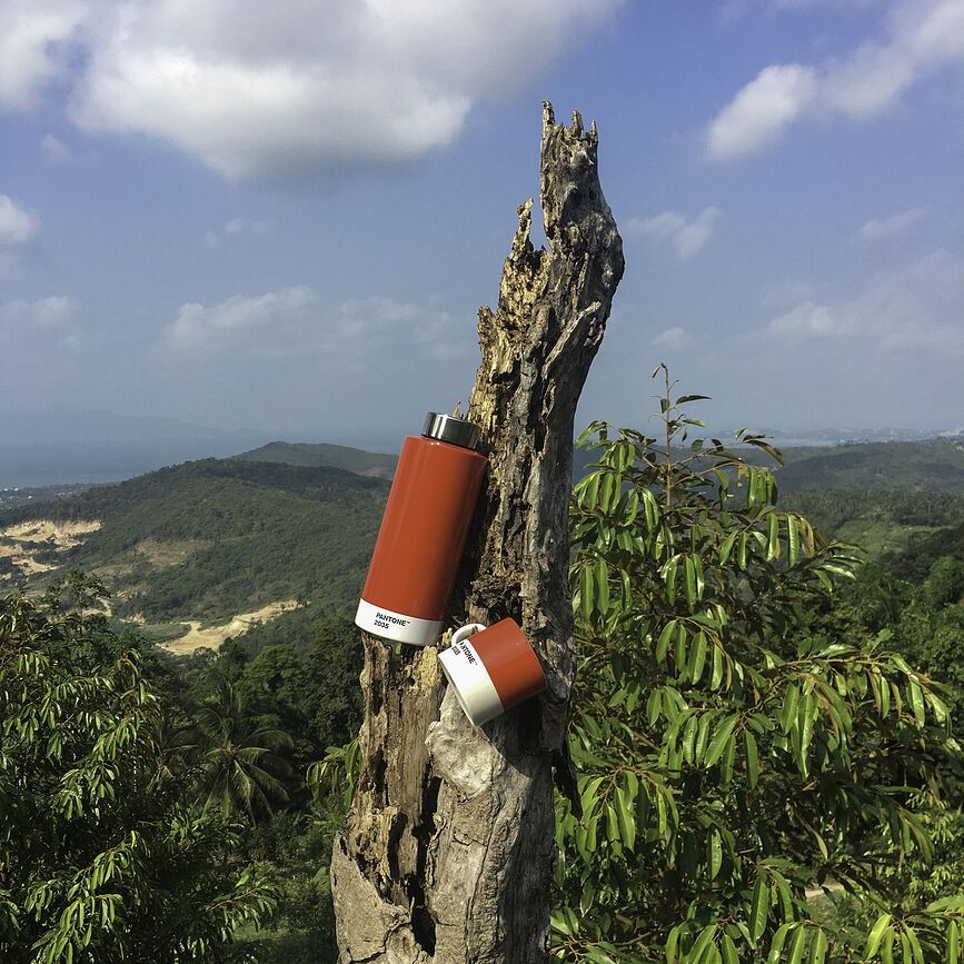 Pantone ΜΠΟΥΚΑΛΙ ΘΕΡΜΟΣ, 530 ml, πορτοκαλί