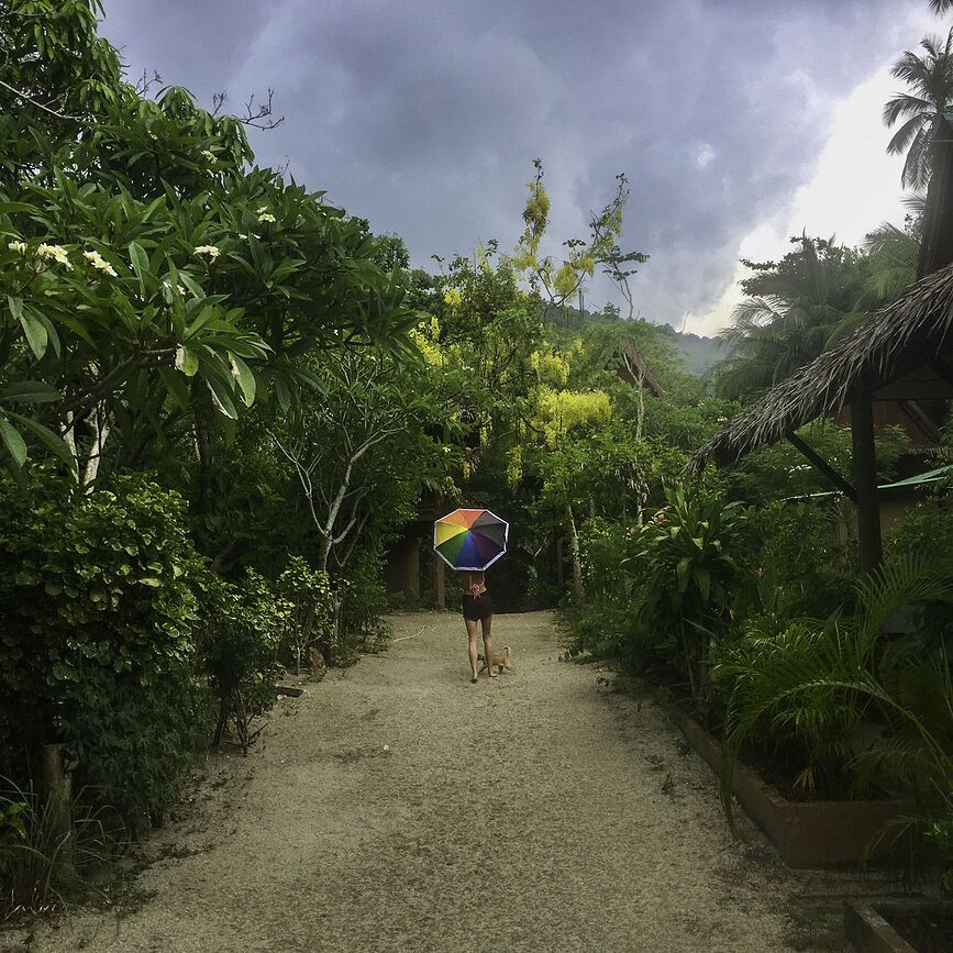 Pantone Travel Dežnik, rumen, z etuijem