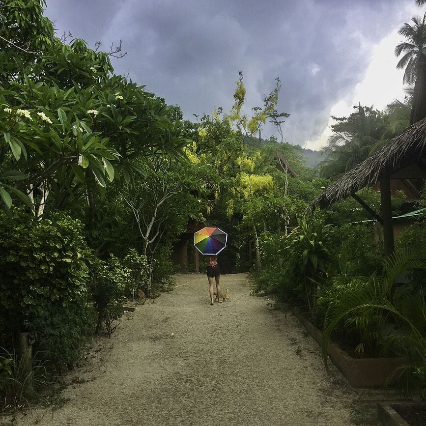 Pantone Travel Parapluie avec étui, jaune