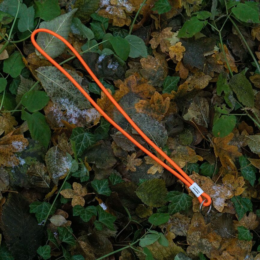 Pantone Vrvica za ključe, svetlo roza