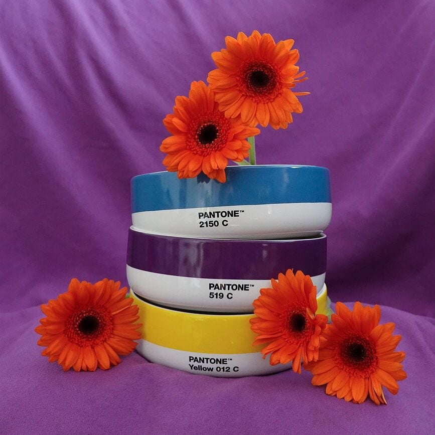 Pantone Zdjela 14,5 cm žuta