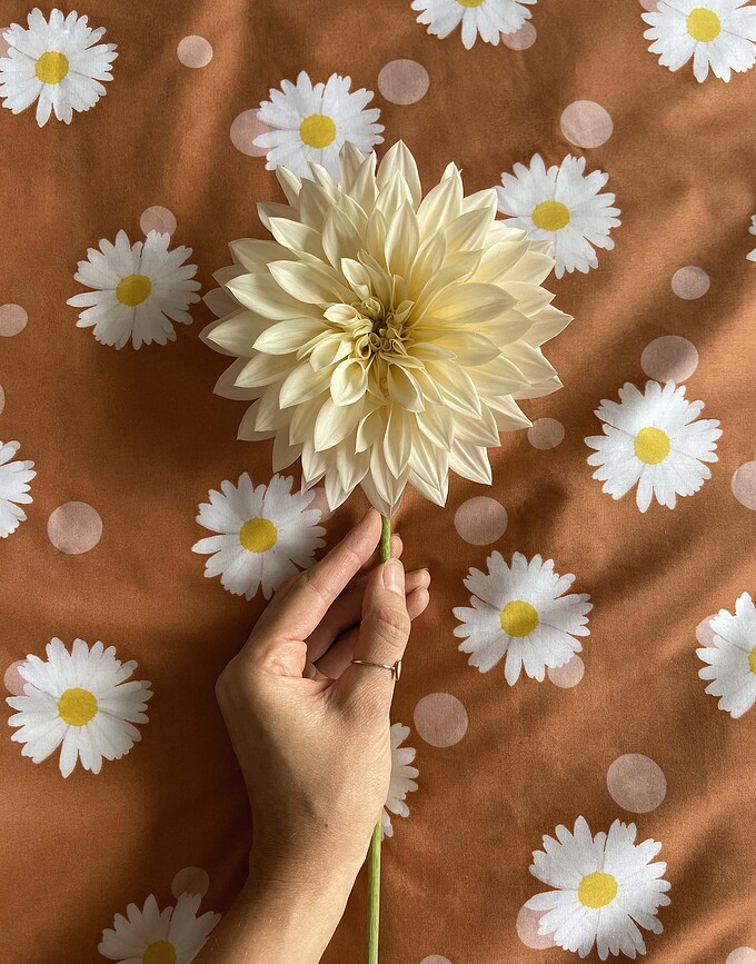 Oopsie Daisy Posteljnina, 140 x 220 cm, z prevleko za vzglavnik 60 x 70 cm, 2-delni set