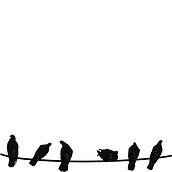 Birds On Wire Kleideraufhänger