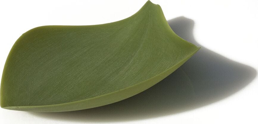 Seasons Assiettes à Goûter en silicone, Lot de 4