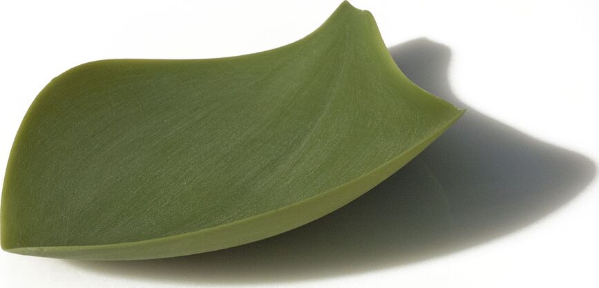 Seasons Πιάτα Σνακ, σιλικόνης, 4 τμχ