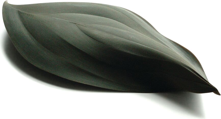 Seasons Plat de Service, en silicone