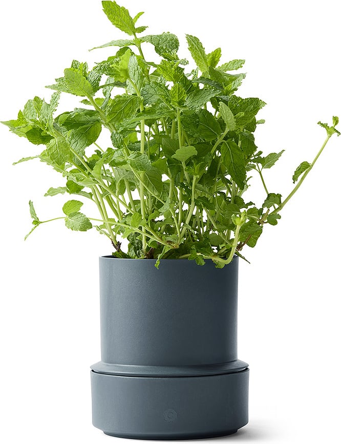 Maceta de autorriego Billund, beige