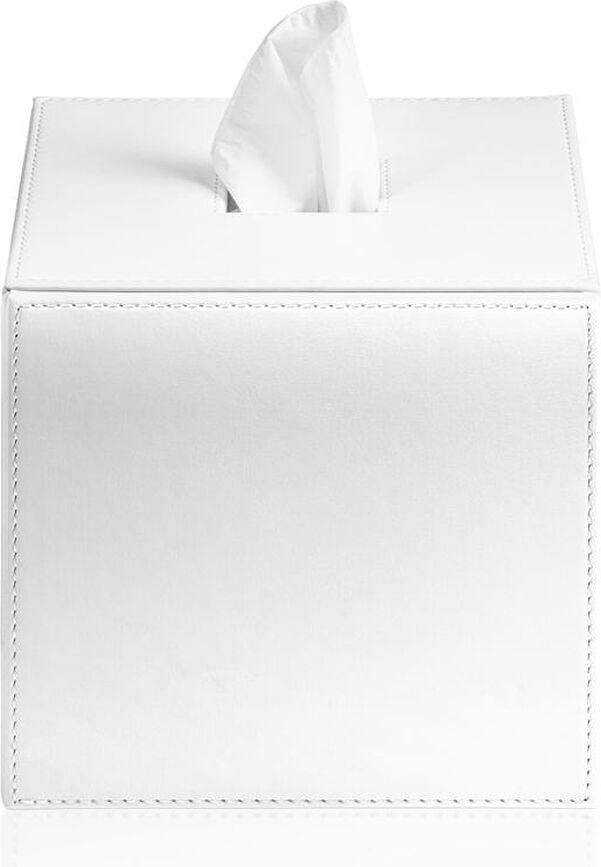 Brownie Tissues container square white