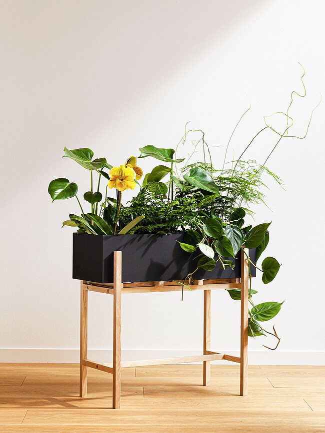 Botanic Porte-plante, noir