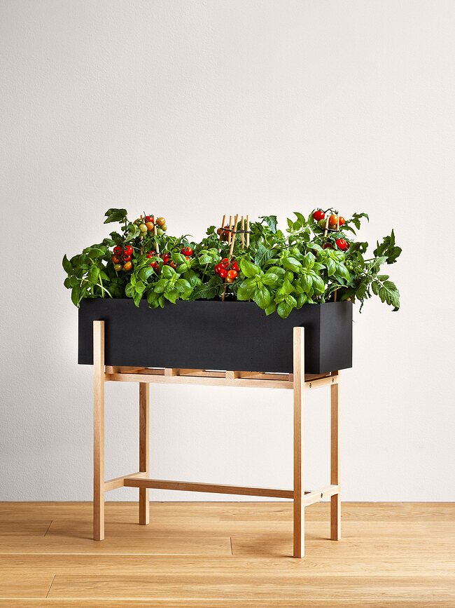 Botanic Porte-plante, noir