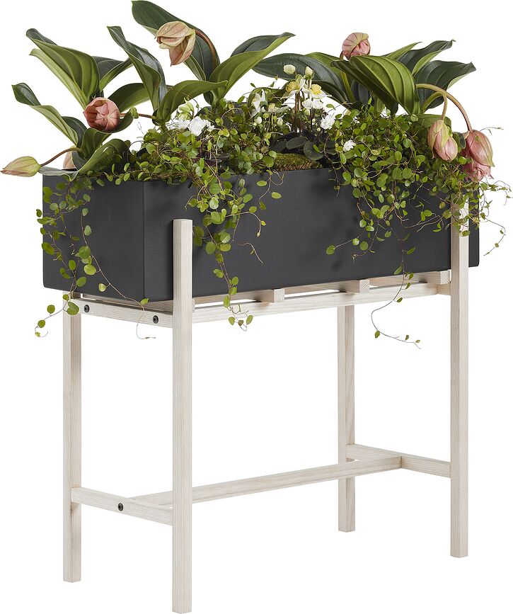 Botanic Porte-plante, noir