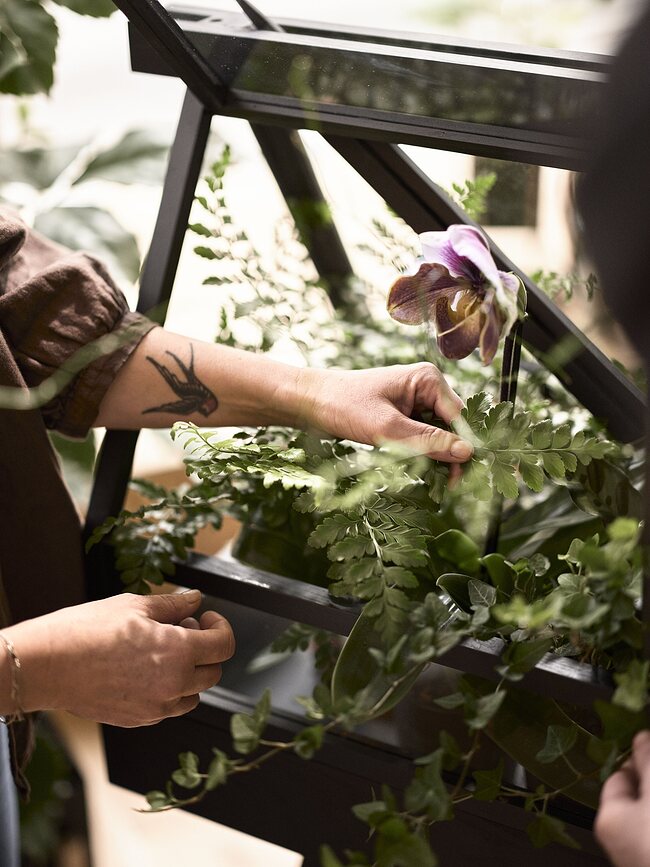 Invernadero de fresno Design House Stockholm