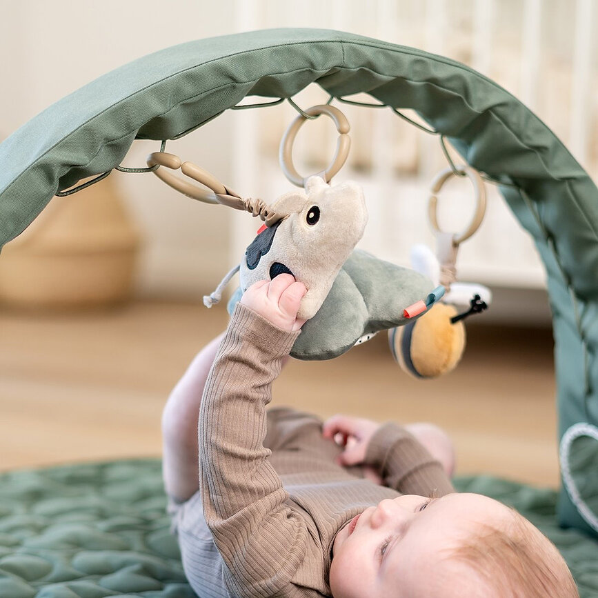 Arco giochi Tiny Farm verde