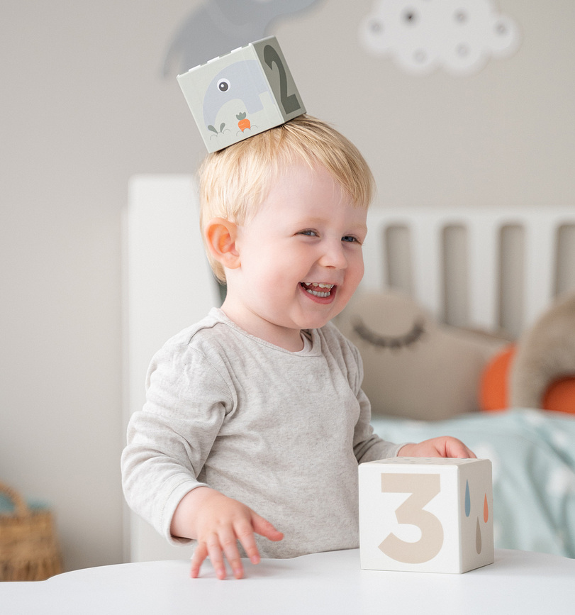 Deer Friends Cubes à Empiler, Lot de 5