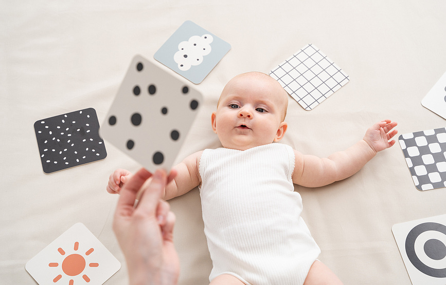 Deer Friends Porte-Cartes pour cartes contrastées, sable