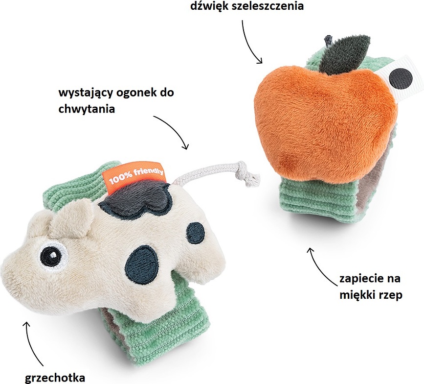 Dotti Grzechotka, 2 kosa