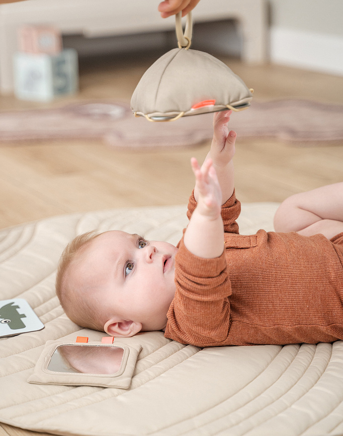 Elphee Cartes de Contraste, Lot de 10