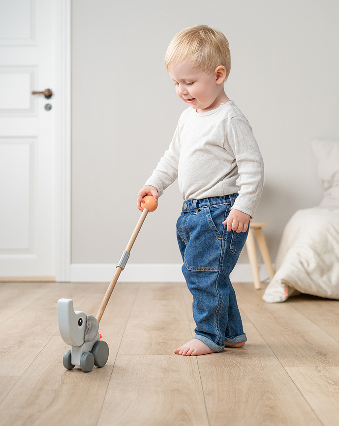 Elphee Περιπατητής