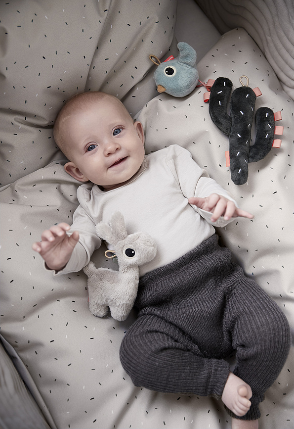 Lalee & Birdee & Cactus Suspensions, Lot de 3