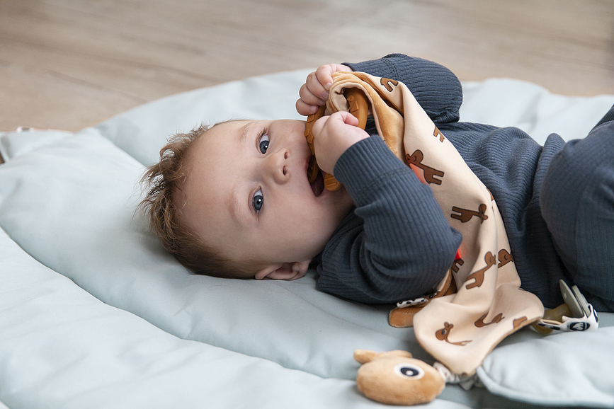 Raffi Ninica z grizalom, gorčična