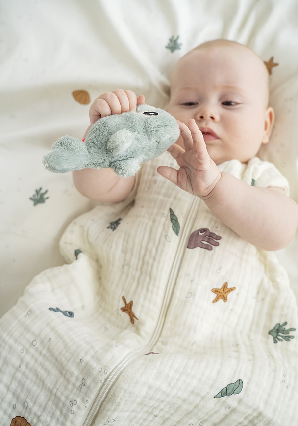 Sea Wally Κουδουνίστρα αισθητηριακή, φάλαινα