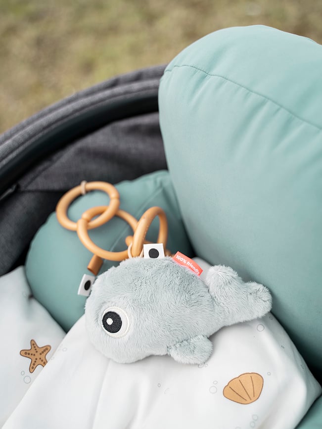 Sea Wally Zvečka senzorna kit