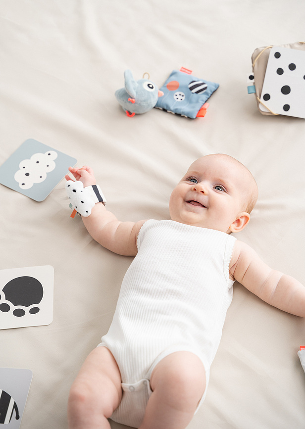 Tarjetas de alto contraste Elphee, 10 unidades