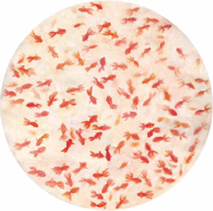 The White Snow Kingyo Serveerimitaldrik 32 cm punane-oranž