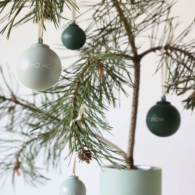 rama de árbol de Navidad