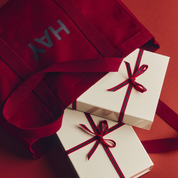 Regalo navideño de este año: regalos escondidos en una bolsa de Hay